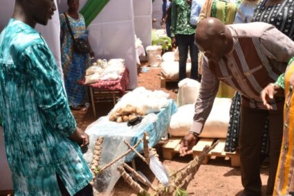 Souveraineté alimentaire : 72 heures pour éplucher le manioc